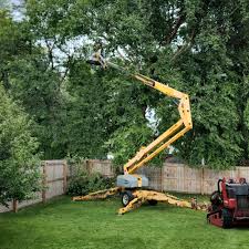 Best Hazardous Tree Removal  in Atoka, NM
