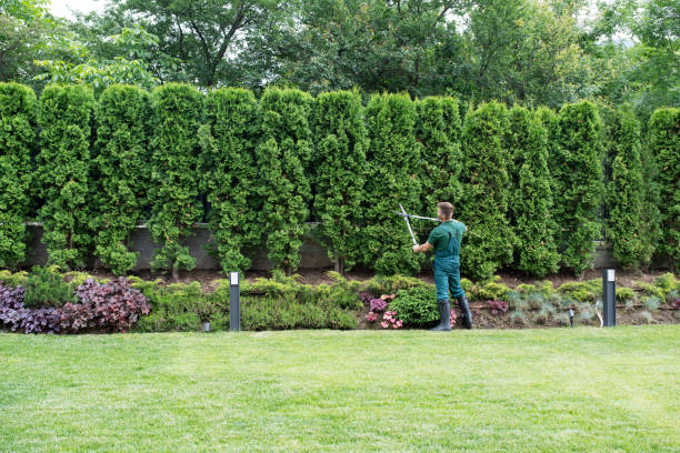 Best Aeration Services  in Atoka, NM